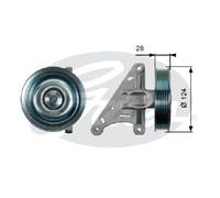 Originale Gates Guida di Guida Cinghia Scanalata T36427 per Citroën