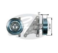 Originale Gates Guida di Guida Cinghia Scanalata T36429 per Citroën Fiat