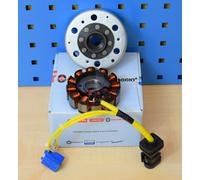 Originale Gilera Runner 125 Alternatore Stator Rotore Volano