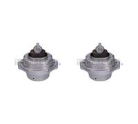 Originale Imperium 2X Lagerung Motore Passante Per BMW X5 3.0D