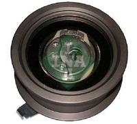 Originale INA Rullo Tensionatore Cinghia 531 0440 30 Per Audi Seat Skoda VW