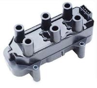 Marelli 060717076012 Bobina Accensione