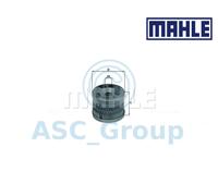 Originale MAHLE Ricambio Filtro Olio Motore Inserti OX 119 OX119