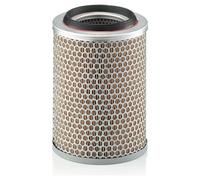 Originale MANN-FILTER Filtro Dell'Aria C 17 217