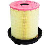Originale MANN-FILTER Filtro Dell'Aria C 29 010 KIT Filtro Dell'Aria