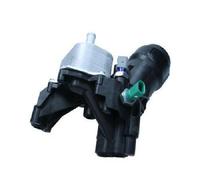 MAXGEAR Radiatore olio, Cambio automatico