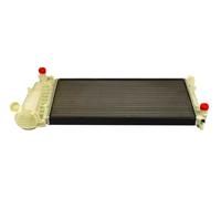Originale MAXGEAR Radiatore Raffreddamento Motore AC230059 Per Fiat Lancia