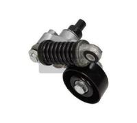 MAXGEAR Tendicinghia, Cinghia Poly-V per CITROËN PEUGEOT 54-0736