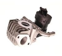 Originale Maxgear Valvola EGR 27-4121 per BMW