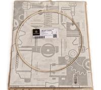 Originale Mercedes-Benz Guarnizione DPF A0004911580 Arocs Camion