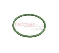 Originale METZGER Guarnizione Tubo Dell'Aria 2400751 Per Citroën Fiat Ford MINI