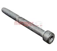 Originale METZGER Vite Supporto Iniettori 0870135S Per Citroën DS FORD USA