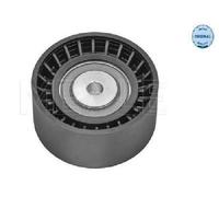 Originale MEYLE Guida di Guida Cinghia Scanalata 100 009 0011 per Audi