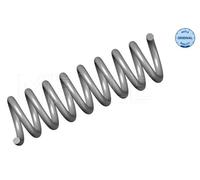 2x RIDEX 188C0212 Molle ammortizzatori adatto per MERCEDES-BENZ CLK (C209)