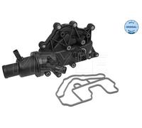 Originale MEYLE Termostato, Liquido Refrigerante 16-282280005 per Renault