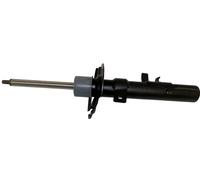 Originale Motorcraft AST-24655 - Anteriore Lato Destro Montante - Shock Absorber
