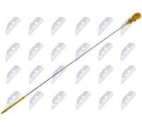 NTY BOL-FR-002 Asta controllo livello olio per FORD