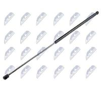 Originale NTY Gasfeder Motore AE-AU-059 Per Audi