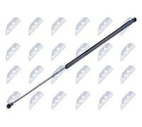 Originale NTY Gasfeder Motore AE-BM-036 Per Alpina BMW