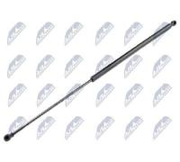 Originale NTY Gasfeder Motore AE-PE-027 Per Peugeot