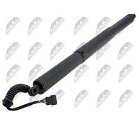Molla a gas bagagliaio posteriore Sx AE-BM-119 NTY per BMW 2 Gran Tourer