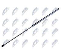 Molla a gas bagagliaio AE-FR-019 NTY per FORD TRANSIT Autobus TRANSIT Furgone