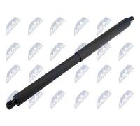 Originale NTY Gasfeder Per Bagagliaio/Area Di Carico AE-FR-072 Per FORD USA