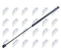 Originale NTY Gasfeder Per Bagagliaio/Area Di Carico AE-FT-032 Per Fiat