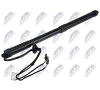 NTY Ammortizzatore pneumatico AE-RE-074 per cofano bagagli/vano carico Renault