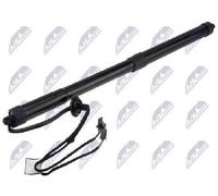 NTY Ammortizzatore pneumatico AE-RE-074 per cofano bagagli/vano carico Renault