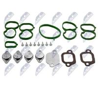 Originale Nty Kit di Riparazione Modulo Collettore Aspirazione BKS PL 006 per