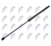 Originale Nty Molla a Gas Valigia Bagagliaio AE-CT-048 per Citroën Peugeot