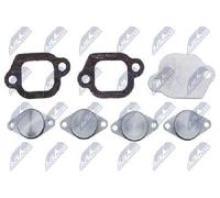 Originale Nty Riparazione Modulo Collettore Aspirazione BKS PL 006A per Alfa