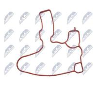 Separatore olio del ricircolo del motore BPZ-VW-020A NTY per SKODA AUDI VW