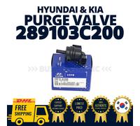 ORIGINALE OEM Hyundai Kia Vapor Canister Spurgo Elettrovalvola di Controllo S...