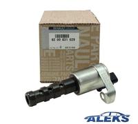 Originale Renault Valvola Regolatore Dell'Albero a Camme Megane 2.0 16V