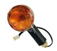 Originale Royal Enfield TRAFFICATOR BACK FIX ANY SIDE 590602/A Bullet