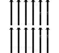Set bulloni testa cilindro VICTOR REINZ 14-32132-02