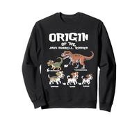 Origine di Jack Russells Terrier Evolution History Amante dei cani Felpa