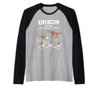 Origine di Jack Russells Terrier Evolution History Amante dei cani Maglia con Maniche Raglan