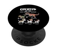Origine di Jack Russells Terrier Evolution History Amante dei cani PopSockets PopGrip Adesivo
