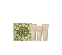 ORIGINS GINGER BODY set 4 pcs