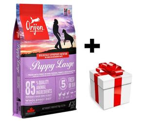 ORIJEN Cucciolo grande 6 kg + sorpresa per il cane