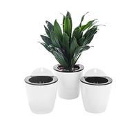 ORIMERC Confezione da 3 vasi sospesi, fioriere in plastica semicircolare Bianca, per fioriere Verticali da Giardino, appesi alle finestre, appesi alle pareti, per Piante Interne ed Esterne, 3*Piccolo