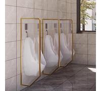 Orinatoio a parete Orinatoi in acciaio inox Divisorio per WC Orinatoio a parete per uomini Divisorio di protezione, telaio in acciaio inox e pannello in vetro traslucido per bagno/hotel/