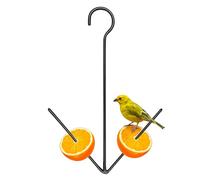 Oriole Bird Feeder with Hook | Garden Fruit Dispenser for Oranges and Nectar | Outdoor Hanging Feeder for Wild Birds | for Backyard, Patio, Lawn, Window, Balcony, Deck