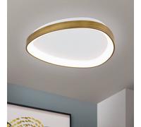 ORION Plafoniera Charlie LED, Ø 45 cm, bianco opalino, colore ottone antico Orion