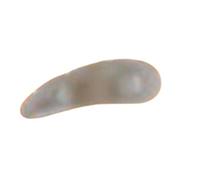 Safte Cuscinetto Orione G114 3 Anelli Per Dita A Martello Destro Misura Unica