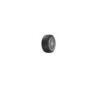 ORIUM WINTER 205/65 R15 94T TL M+S 3PMSF
