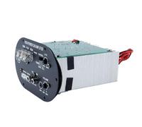 Orivin Scheda amplificatore audio per auto, scheda amplificatore subwoofer da 120 W e 12 V, modulo amplificatore audio con bassi potenti e potenti, nucleo subwoofer per auto, computer, telefon